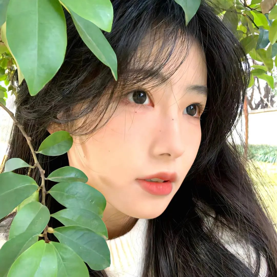 阿飞 封面